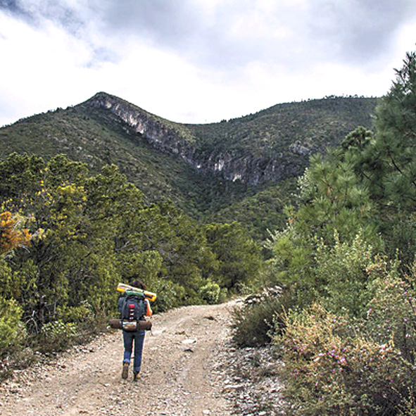 Sierra de Zapalinamé